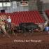 Smoky Mountain Showdown